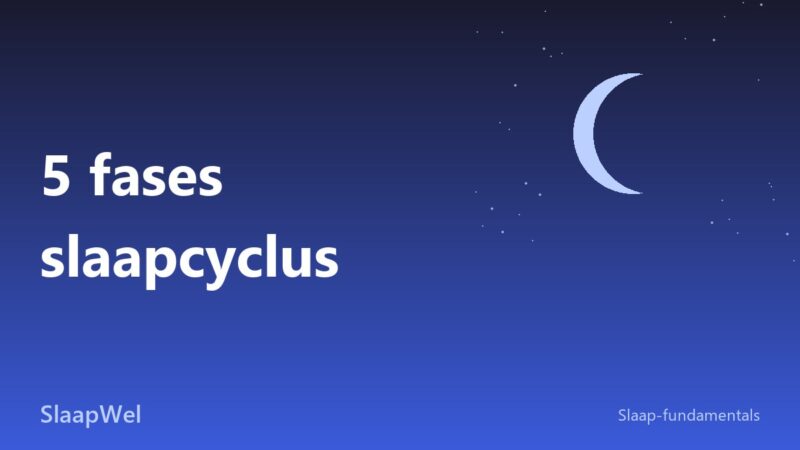 5 fases van de slaapcyclus: wat er elke nacht gebeurt